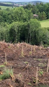 ENVIRONNEMENT : Ceux qui parlent et ceux qui agissent